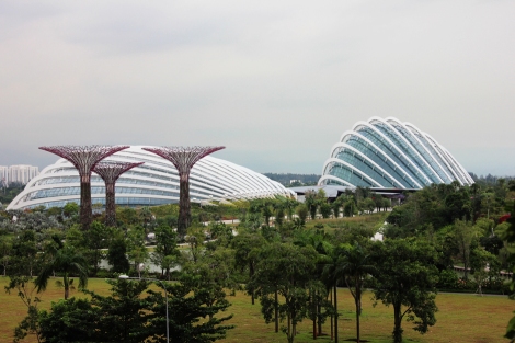 Gardens by the Bay | Singapore